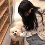创世兵魂老版本下载